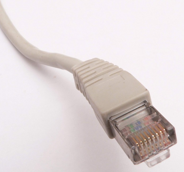 File:8P8C ethernet cable.jpg
